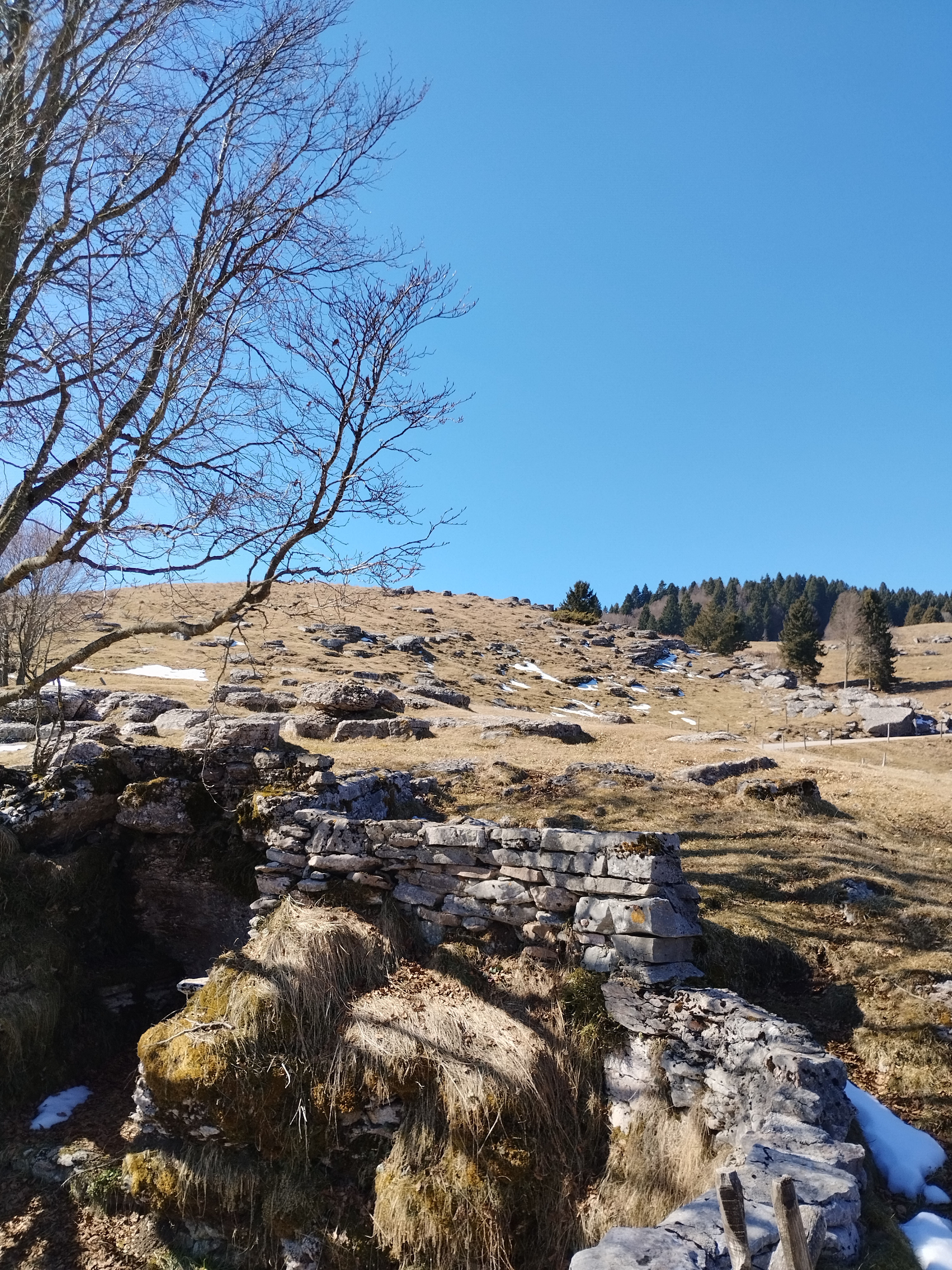 Bocchetta Galgi al monte Corno verso Asiago