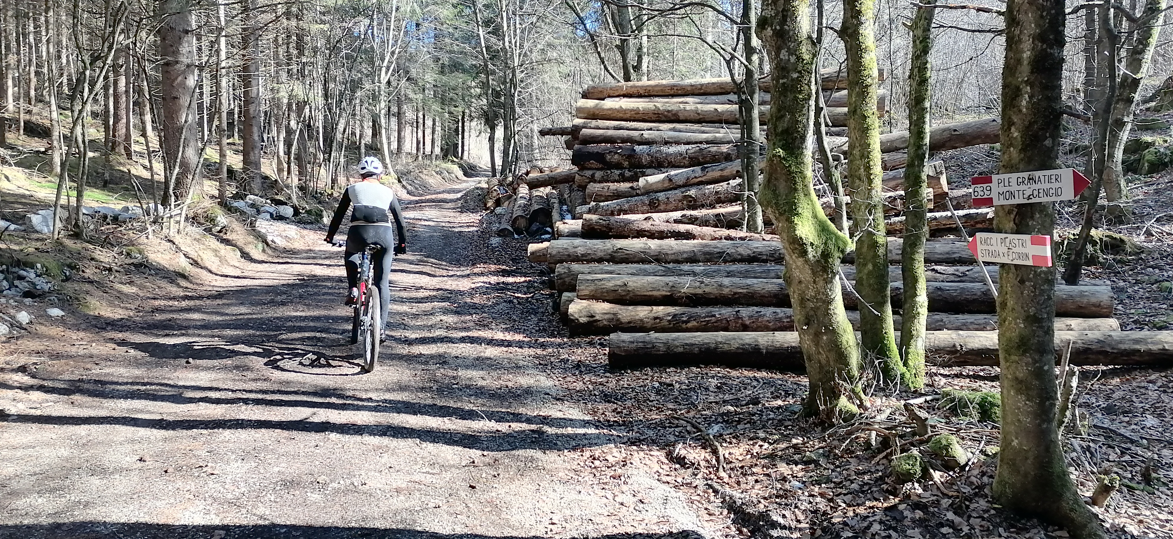 negli splendidi boschi dell'altopiano 7 comuni all'uscita dell'inverno